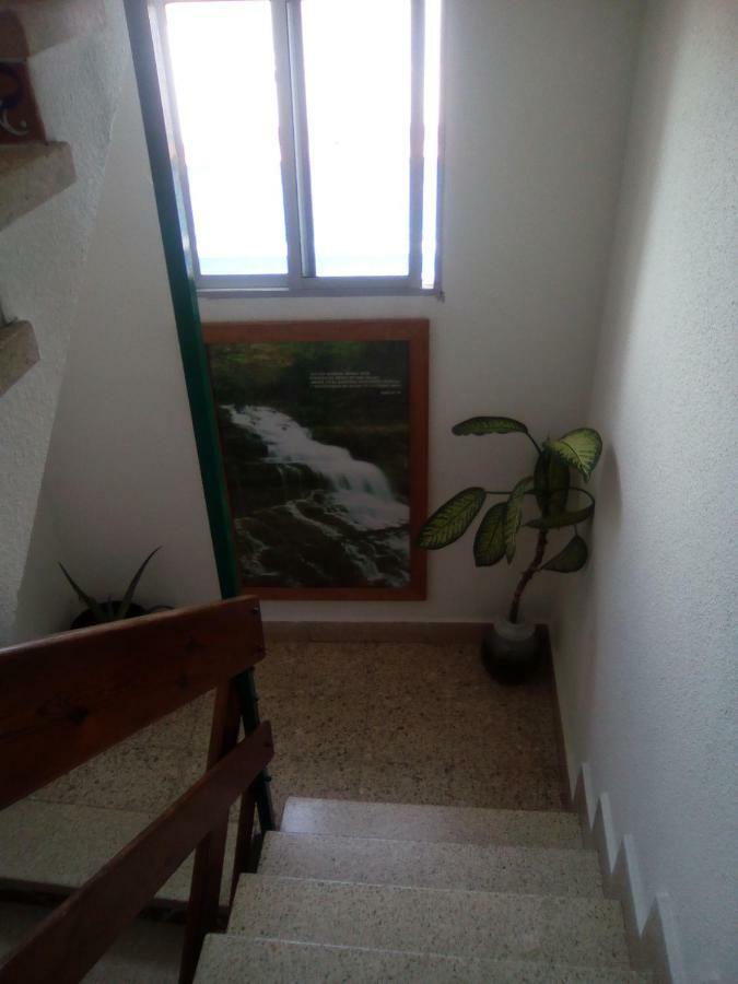 8 Calle Tangara La Gloria Santa Cruz de Tenerife Ngoại thất bức ảnh